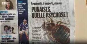 Diario HOY | París, la ciudad de la luz, la moda y los perfumes, azotada por chinches, que medran en ambientes poco higiénicos