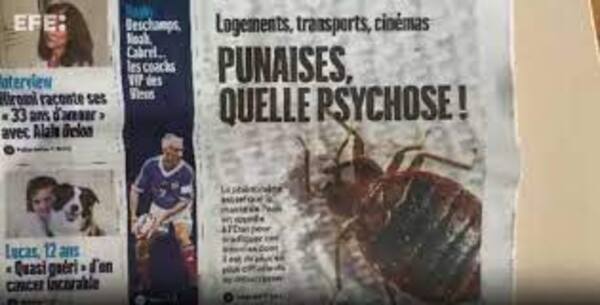 Diario HOY | París, la ciudad de la luz, la moda y los perfumes, azotada por chinches, que medran en ambientes poco higiénicos