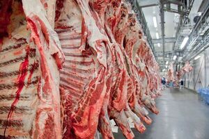 Valor medio de la tonelada de carne importada por China bajó 24% en agosto