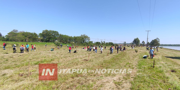 “UNAE VERDE” REALIZÓ LA PLANTACIÓN DE 300 ÁRBOLES EN ENCARNACIÓN - Itapúa Noticias