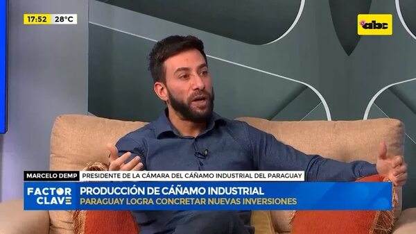 Video: Producción de cáñamo industrial - Crimen y castigo - ABC Color