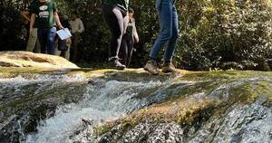 La Nación / La reserva verde de Paraguay ofrece una aventura A Todo Pulmón