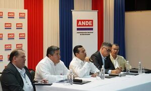 Evalúan desempeño del Sistema Eléctrico de la Ande en los últimos días de altas temperaturas – Diario TNPRESS