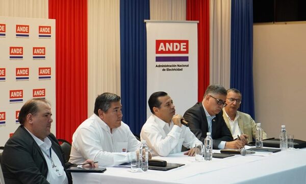 Evalúan desempeño del Sistema Eléctrico de la Ande en los últimos días de altas temperaturas – Diario TNPRESS