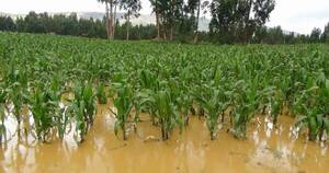 La Nación / Clima presenta un riesgo para producción agrícola