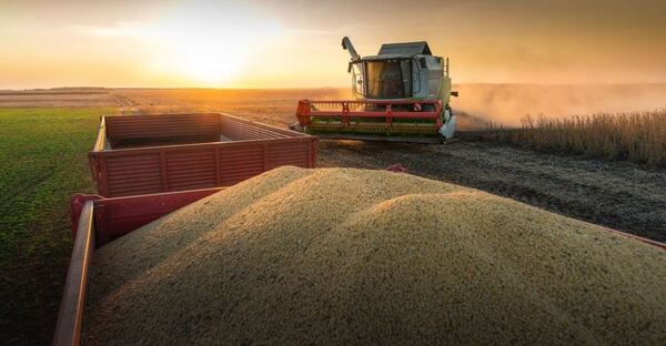 La agricultura registró una variación interanual del 46,6% en el segundo trimestre