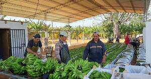 La Nación / Vehículos que transportan bananas están varados en zona fronteriza con Argentina