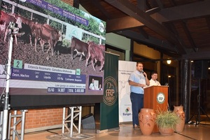 Bangor remata este lunes más de 1.400 vacunos en feria especial de la ARP Esteban Martínez