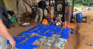 La Nación / Desmantelan complejo de producción de marihuana