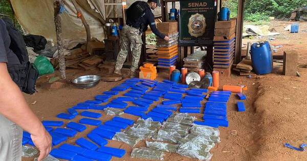 La Nación / Desmantelan complejo de producción de marihuana