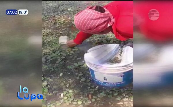 Comunidad Machareti: Crisis del agua golpea terriblemente al Chaco | Telefuturo