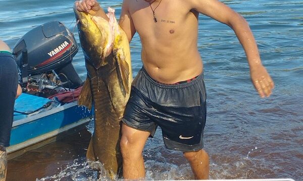 Pescan manguruyu de casi 50 kilos en el Paraná