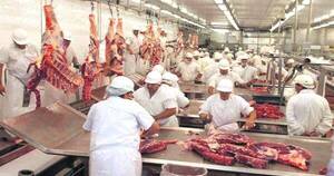 La Nación / Menores exportaciones generaron retracción en el sector ganadero