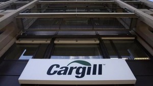 Multan a Cargill por trabajo infantil - El Independiente