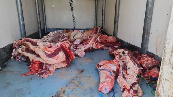 Decomisan furgón refrigerado con carga supuestamente ilegal de carne en operativo aduanero