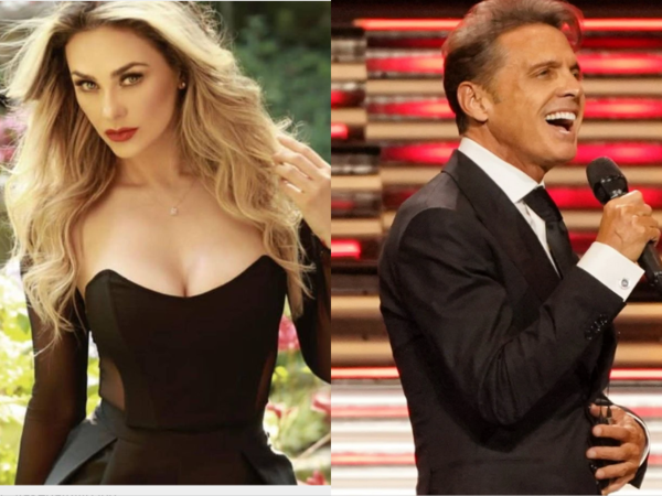 Se confirma que Aracely Arámbula demandó a Luis Miguel