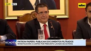 Patron Papers: publican documentos filtrados de la investigación de Seprelad a Horacio Cartes - ABC Noticias - ABC Color