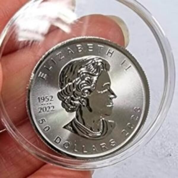 HOMBRE INTENTÓ CRUZAR LA FRONTERA DE POSADAS – ENCARNACIÓN CON MONEDAS DE ORO, PLATA Y PLATINO
