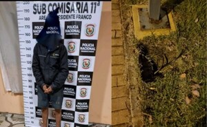 Detenido al ser sorprendido retirando cables del Parque Independencia