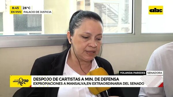 Video: Despojo de cartistas a Ministerio de Defensa - ABC Noticias - ABC Color