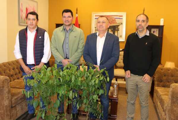 EBY aporta 1.500 plantines a Ñeembucú
