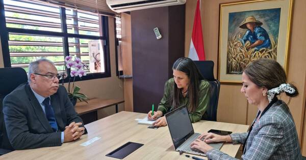 La Nación / Empresa brasileña del sector eléctrico proyecta desembarcar en Paraguay en 2024