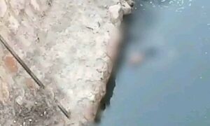 Encontraron  te’õngue al costado de un arroyo