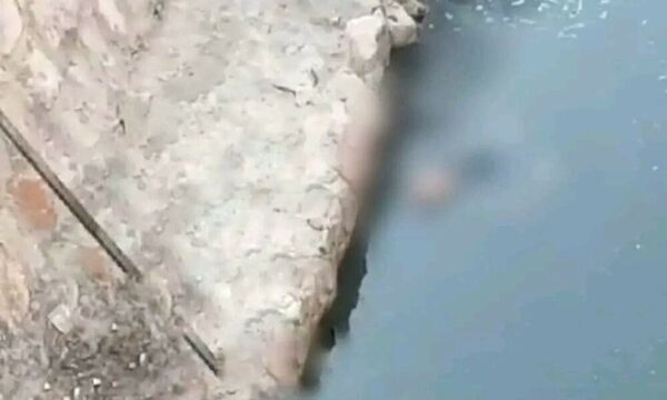 Encontraron te’õngue al costado de un arroyo