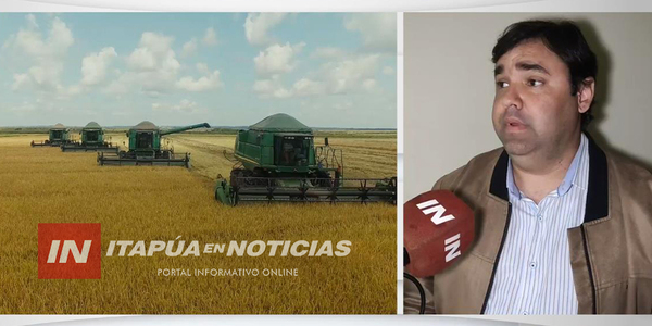 MIEMBROS DE LA JICA Y GERMÁN GNEITING VISITAN A PRODUCTORES ARROCEROS - Itapúa Noticias