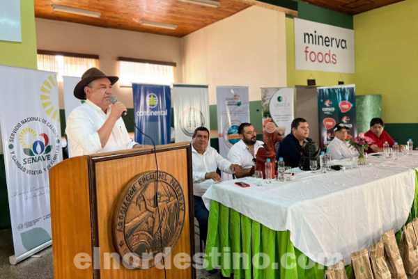 Expo Amambay: Gobernador Juancho Acosta y Diputado Lalo Gomes lanzaron el Plan de Siembra de Sésamo Zafra 2023/2024 - El Nordestino