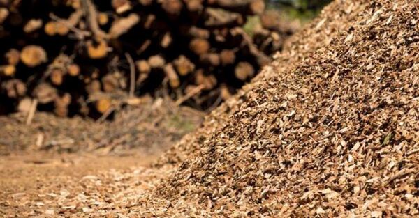Minas y Energía proseguirá con el registro de industrias consumidoras de biomasa