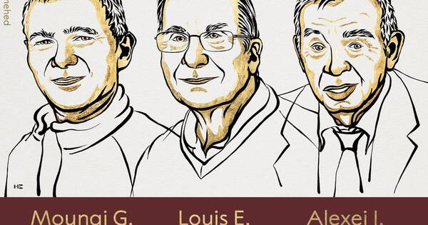 La Nación / Nobel de Química para investigación de nanopartículas