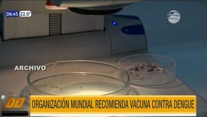 OMS recomienda vacuna contra el Dengue | Telefuturo
