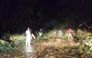 Temporal causó destrozos en Santa Rita y Santa Rosa del Monday - ABC en el Este - ABC Color
