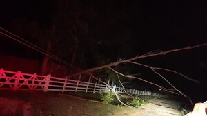 Un rayo cayó sobre una vivienda y mató a un hombre en Caaguazú - Unicanal