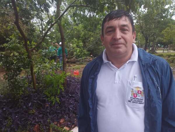 TEMPORAL HA DERRIVADO ÁRBOLES EN VILLARRICA