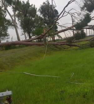 Temporal afectó a 23 alimentadores: ANDE aún trabaja para reponer servicio - Nacionales - ABC Color