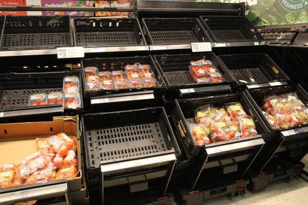 La tensi贸n geopol铆tica traer谩 inseguridad alimentaria y energ铆a limpia m谩s cara, seg煤n FMI - Revista PLUS
