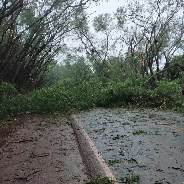 Túnel verde de Santa Rita fue “destechado” por el temporal - ABC en el Este - ABC Color