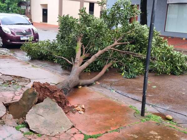 Cuantiosos destrozos ocasionados por el último temporal en varios puntos del país