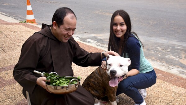 Tradicional bendición a mascotas en el Día de San Francisco de Asís