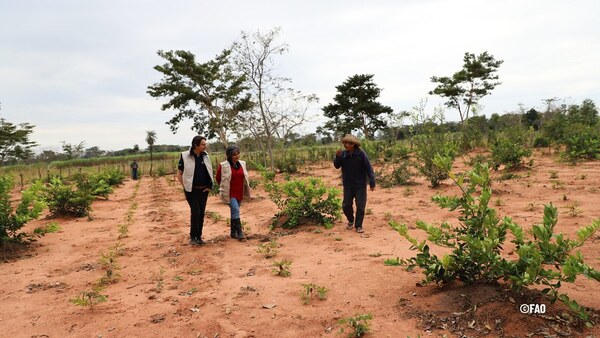 Paraguay presenta Proeza, un proyecto que busca el desarrollo de comunidades ind铆genas y campesinas - Revista PLUS