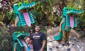 Niño de 8 años crea divertido disfraz de cocodrilo con materiales reciclados – Prensa 5