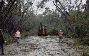 Diario HOY | Emblemático túnel verde de Santa Rita quedó destruido a raíz del temporal