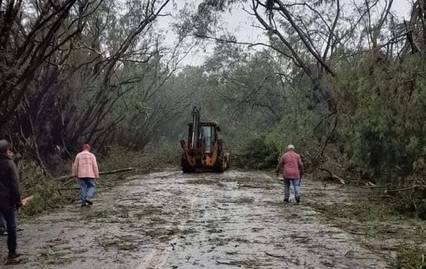 Diario HOY | Emblemático túnel verde de Santa Rita quedó destruido a raíz del temporal