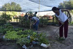 Mujeres emprendedoras llevan adelante una huerta comunitaria en Ayolas - Nacionales - ABC Color