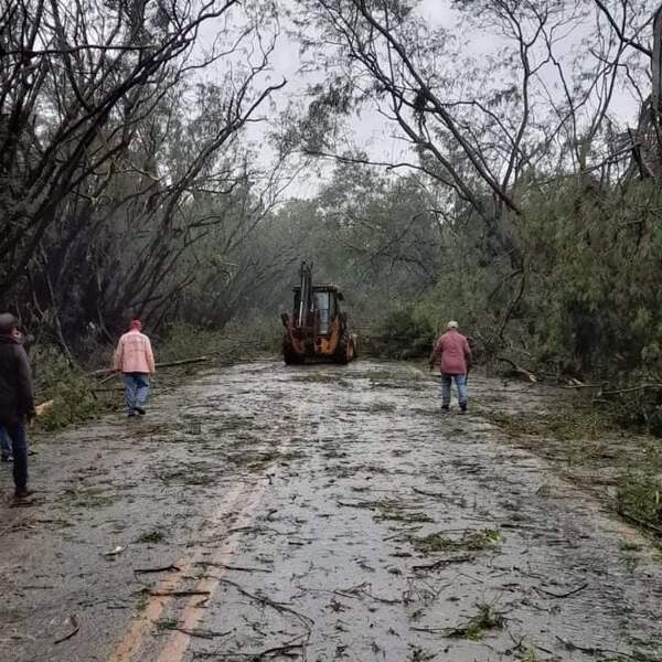 Santa Rita: Emblemático túnel verde quedó destruido a raíz del temporal - ADN Digital
