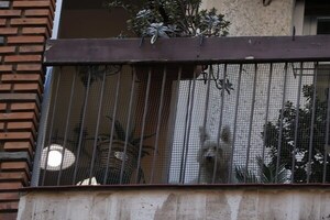 LAS AMENAZAS QUE ENFRENTAN MUCHAS ESPECIES EMPAÑAN EL DÍA MUNDIAL DE LOS ANIMALES