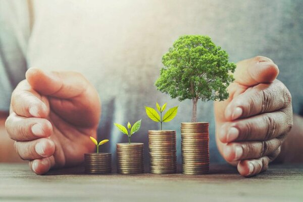 Diputados aprueban proyecto de Ley de Créditos de Carbono