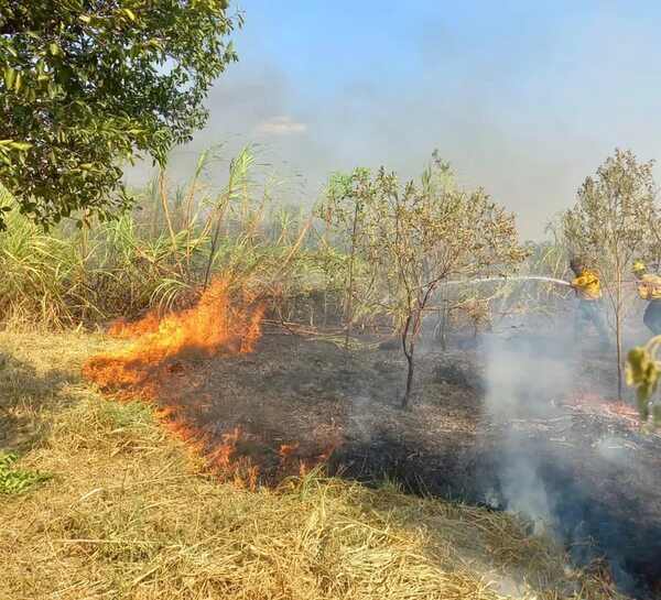 Concepción: incendio de pastizales genera preocupación a los bomberos - Nacionales - ABC Color